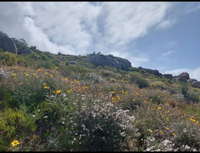 LAND FOR SALE IN BLUEBERRY HILL